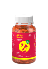 Anima-Strath Tabletten 200 Stk.