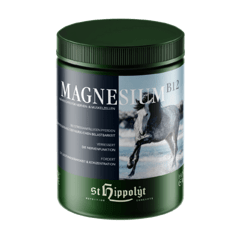 Magnesium B12 1 kg